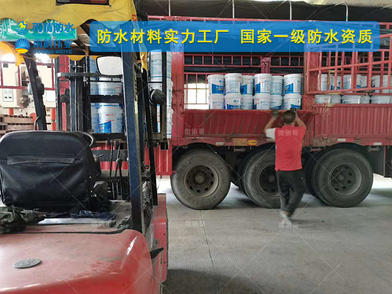 襄陽谷城JS聚合物修補(bǔ)堵漏劑涂料廠家地址