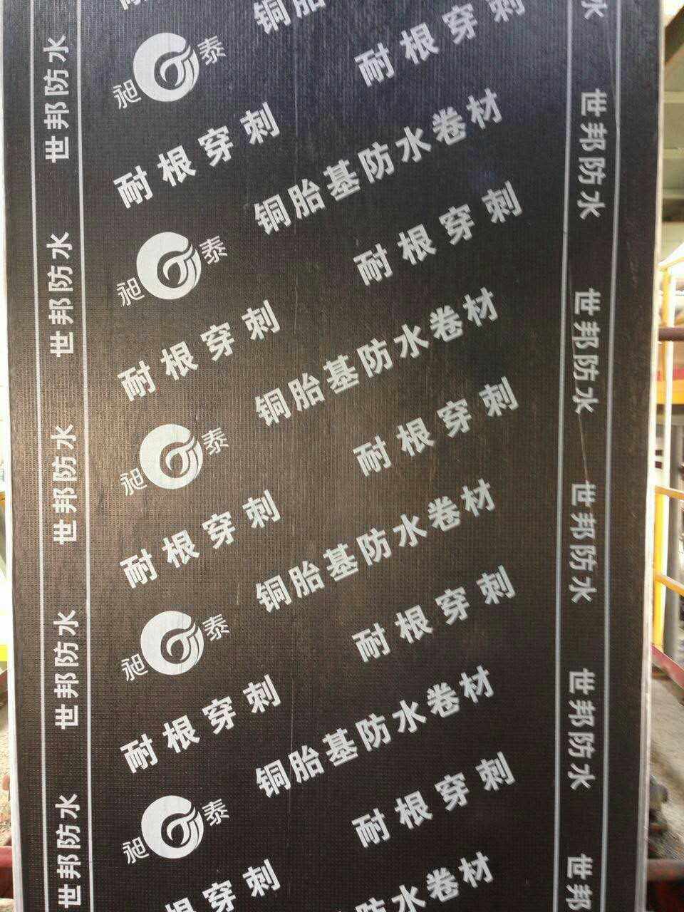 大量供應SBS瀝青防水卷材 橡膠瀝青防水卷材生產廠家昶泰