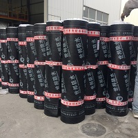 大量供應聚合物瀝青防水卷材 聚合物瀝青防水卷材廠家昶泰